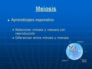 Meiosis n Aprendizajes esperados Relacionar mitosis y meiosis