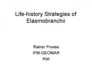 Lifehistory Strategies of Elasmobranchii Rainer Froese IFMGEOMAR Kiel