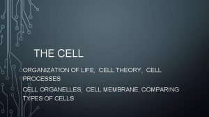 THE CELL ORGANIZATION OF LIFE CELL THEORY CELL