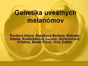 Genetika uvelnych melanmov Furdov Alena Smolkov Boena Bhmer