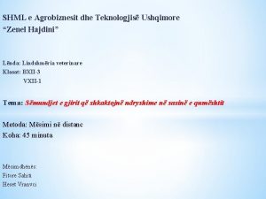 SHML e Agrobiznesit dhe Teknologjis Ushqimore Zenel Hajdini