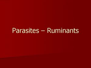 Parasites Ruminants Deworming strategy Producers understand importance of
