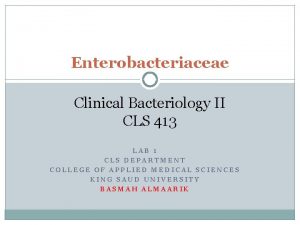 Enterobacteriaceae Clinical Bacteriology II CLS 413 LAB 1