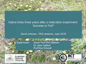 Native forbs three years after a restoration experiment