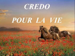 CREDO POUR LA VIE Ne te sousestime pas