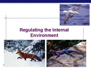 Regulating the Internal Environment AP Biology 2008 2009