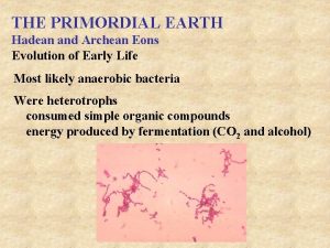 THE PRIMORDIAL EARTH Hadean and Archean Eons Evolution