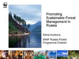 Promoting Sustainable Forest Management in Russia Elena Kulikova