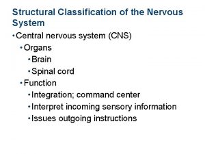 Cerebral aqueduct