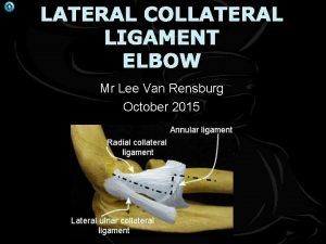 LATERAL COLLATERAL LIGAMENT ELBOW Mr Lee Van Rensburg