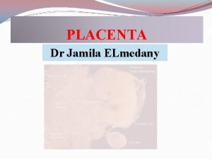 PLACENTA Dr Jamila ELmedany It is a Fetomaternal