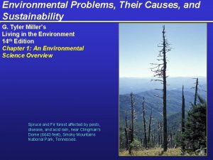 Environmental Problems Their Causes and Sustainability G Tyler