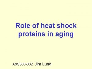 Role of heat shock proteins in aging AS