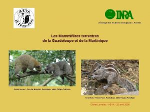 cologie des invasions biologiques Rennes Les Mammifres terrestres