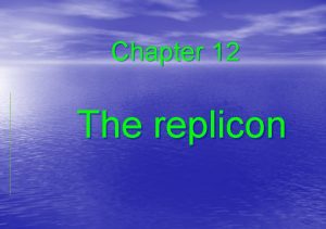 Chapter 12 The replicon 12 1 Introduction 12