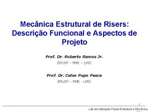 Mecnica Estrutural de Risers Descrio Funcional e Aspectos