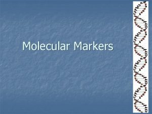 Molecular Markers Morphological Markers n n n Recessive