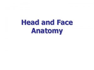 Head and Face Anatomy The soft tissue that