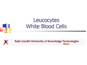 Leucocytes White Blood Cells Basar White Blood Corpuscles