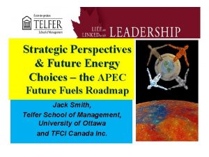 Strategic Perspectives Future Energy Choices the APEC Future