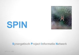 SPIN Synergetisch Project Informatie Netwerk SPIN c intro