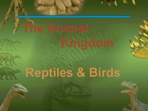Reptiles order