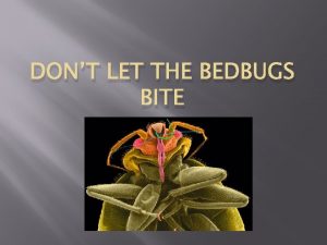 DONT LET THE BEDBUGS BITE Resident Cooperation It