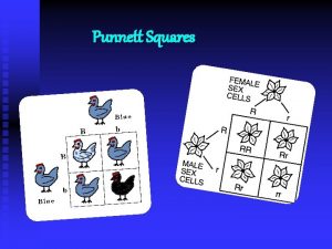Punnett Squares Punnett Squares n A Punnett square