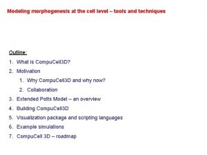 Modeling morphogenesis at the cell level tools and