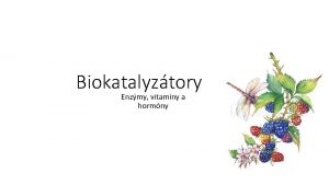 Biokatalyztory Enzmy vitamny a hormny Biokatalyztory Biokatalyztory s