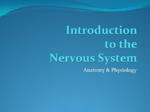 Introduction to the Nervous System Anatomy Physiology Nervous