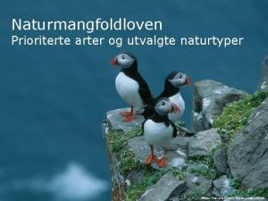 Naturmangfoldloven Prioriterte arter og utvalgte naturtyper Foto Halvard