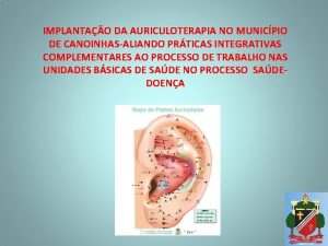 IMPLANTAO DA AURICULOTERAPIA NO MUNICPIO DE CANOINHASALIANDO PRTICAS