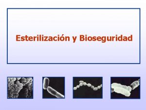 Esterilizacin y Bioseguridad Algunos conceptos bsicos Esterilizacin eliminacin