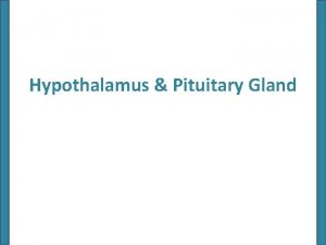 Hypothalamus hormones