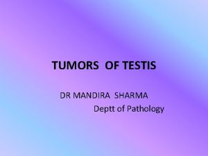 TUMORS OF TESTIS DR MANDIRA SHARMA Deptt of