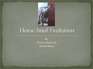 Horse hoof Evolution By Travis Hartneck David Stacy