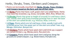 Herbs Shrubs Trees Climbers and Creepers Plants can