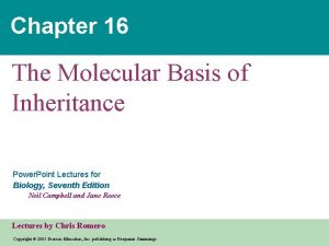 Chapter 16 The Molecular Basis of Inheritance Power