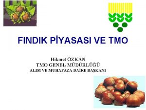 FINDIK PYASASI VE TMO Hikmet ZKAN TMO GENEL