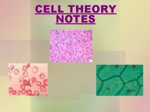 CELL THEORY NOTES History Anton Van Leeuwenhoek The