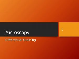 Microscopy Differential Staining 1 Gram Staining 2 Divides