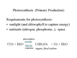 Photosynthesis Primary Production Requirements for photosynthesis sunlight and