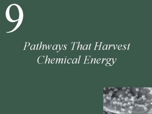 9 Pathways That Harvest Chemical Energy 9 Pathways