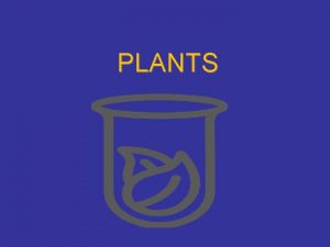 PLANTS An overview All plants have a cuticle