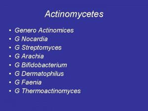 Actinomycetes Genero Actinomices G Nocardia G Streptomyces G