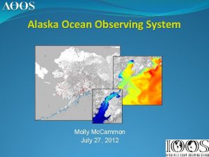 Alaska Ocean Observing System Molly Mc Cammon July