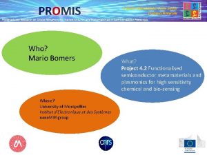 PROMIS A Marie SkodowskaCurie Initial Training Network Postgraduate