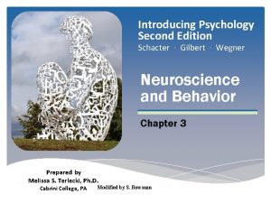 Introducing Psychology Second Edition Schacter Gilbert Wegner Neuroscience