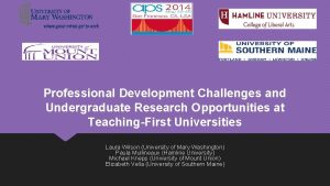 Professional Development Challenges and Undergraduate Research Opportunities at